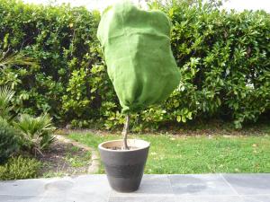 Housse d'hivernage - 0.8 m x 1 m